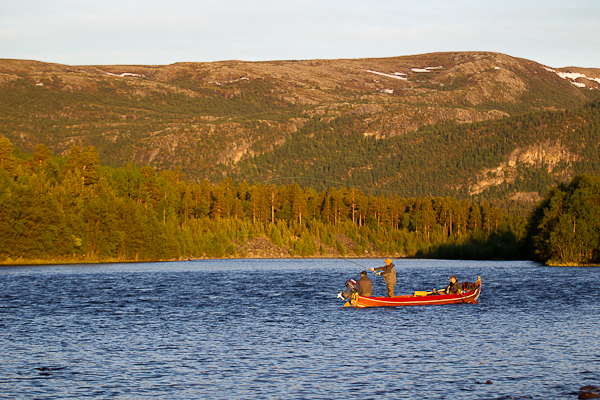 Guest on the Lakselv, Northern Norway
