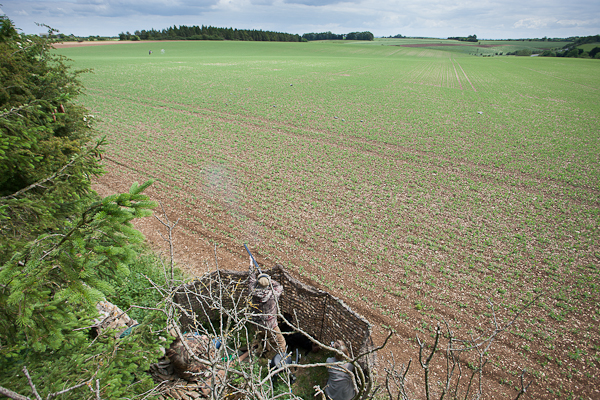 Pigeon Shooting and Photography – testing the new mast for unique shots